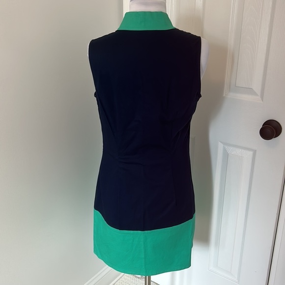 Sail to Sable Colorblock Shift Dress Navy/Kelly Green - Picture 4 of 8